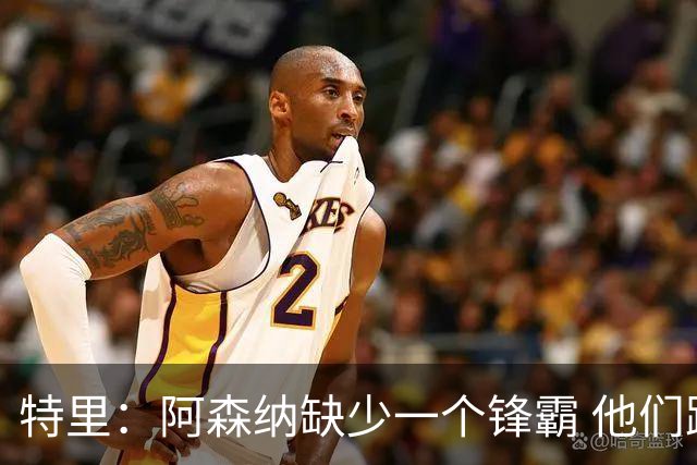 特里：阿森纳缺少一个锋霸 他们距离统治英超只差1、2笔签约